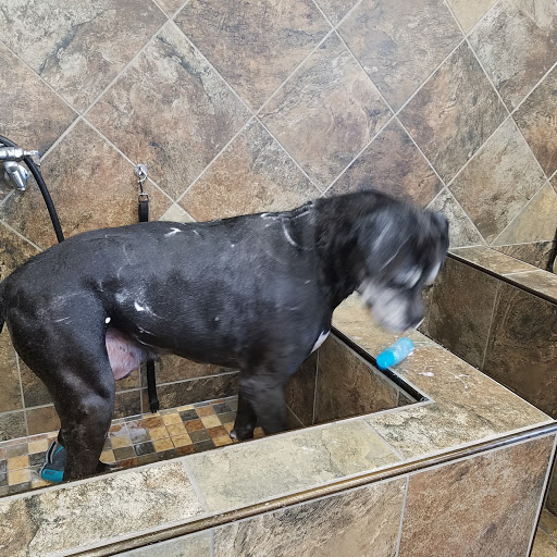 Pet Store «Pet Valu», reviews and photos, 6718 Ritchie Hwy, Glen Burnie, MD 21061, USA