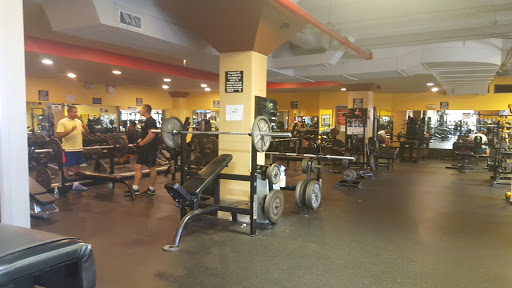Gym «Big Six Fitness Gym», reviews and photos, 61-10 Queens Blvd, Queens, NY 11377, USA