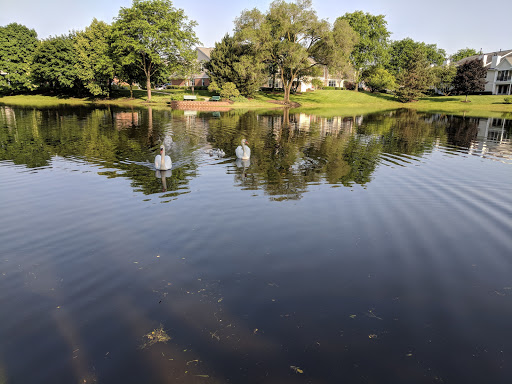 Country Club «Old Orchard Country Club», reviews and photos, 700 W Rand Rd, Mt Prospect, IL 60056, USA