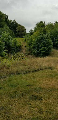 Public Golf Course «Sugar Loaf The Old Course», reviews and photos, 4512 S Town Line Rd, Cedar, MI 49621, USA