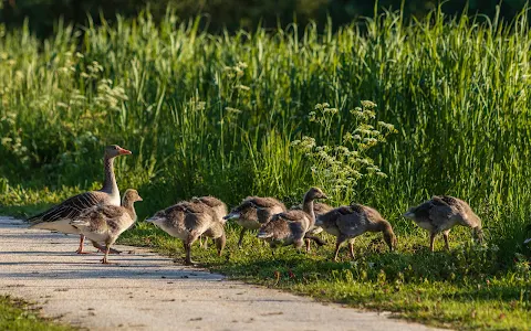 Natuurpark Vrije Geer image