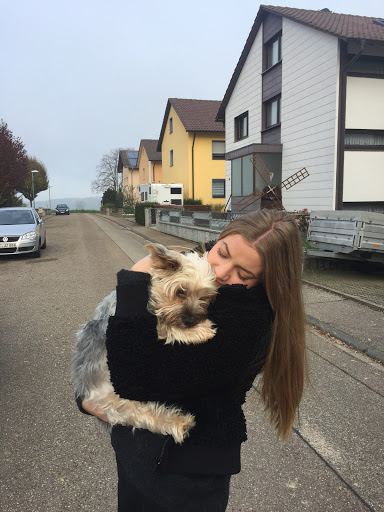 Tierarztpraxis Dr. med. vet. Bea Redinger-Kraus unter Neulingen, 