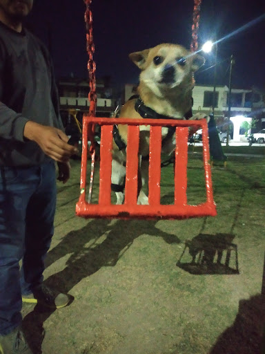 Cachorros Enramada