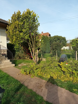 LANDOUER elagage à Verrières-le-Buisson