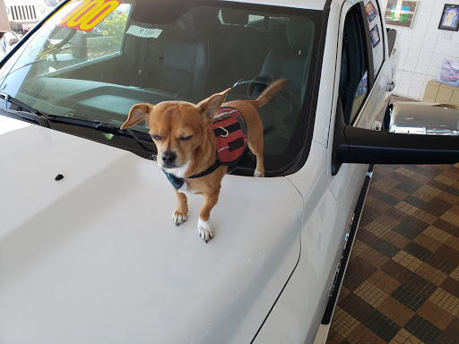 Car Dealer «Hanlees Chrysler Dodge Jeep Ram of Napa», reviews and photos, 333 Soscol Ave, Napa, CA 94559, USA