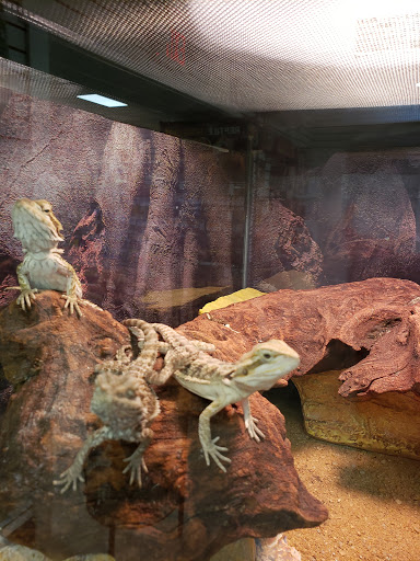 Pet Supply Store «Buckles Feed Depot & Pet Supply», reviews and photos, 220 S 4th St, Lafayette, IN 47901, USA