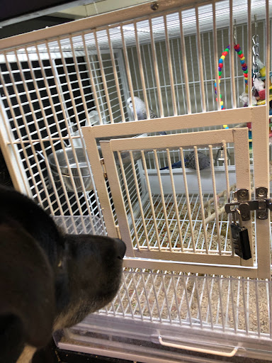 Shopping Mall «Shillington Shopping Center», reviews and photos, 502 E Lancaster Ave, Reading, PA 19607, USA