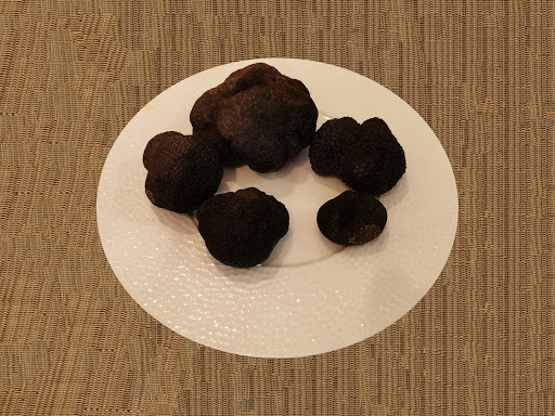 Truffes Folies