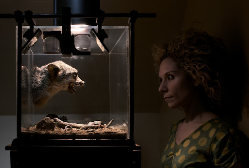 The Museum of Jurassic Technology image