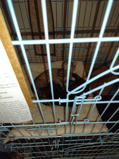 Pet Supply Store «Pet Supplies Plus», reviews and photos, 987 S Main St, Centerville, OH 45458, USA