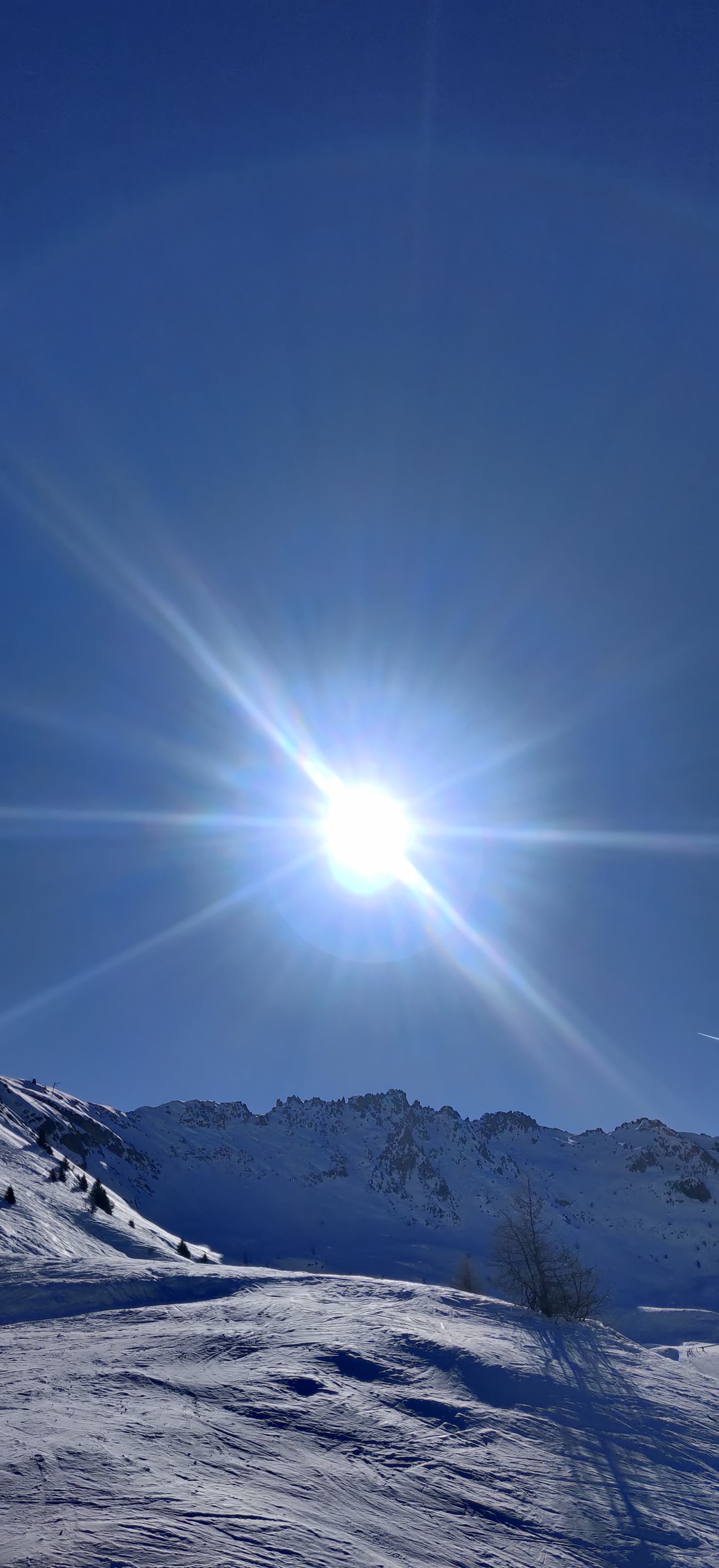 Photo n° 12 de l'avis de Gemma.a fait le 12/02/2023 à 21:18
