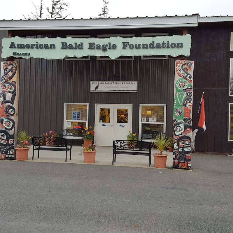 American Bald Eagle Foundation