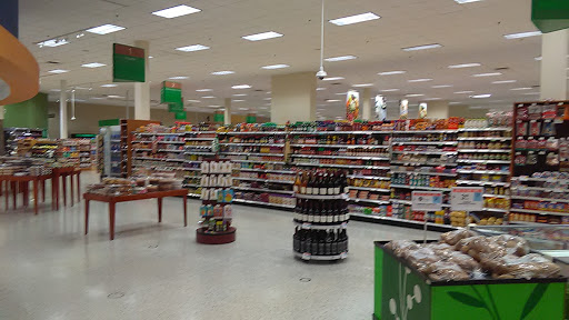 Supermarket «Publix Super Market at Northgate Shopping Center», reviews and photos, 299 E International Speedway Blvd, DeLand, FL 32724, USA