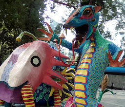 FONDO MUNDIAL PARA LA NATURALEZA / WWF México photo