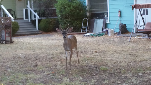 Book Store «Open Secret Bookstore», reviews and photos, 923 C St, San Rafael, CA 94901, USA