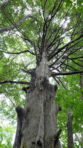 State Park «Taylorsville Lake State Park», reviews and photos, 1320 Park Rd, Mt Eden, KY 40046, USA