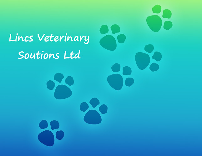 Reviews of Lincs Veterinary Solutions in Lincoln - Veterinarian