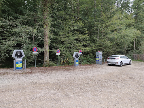 Borne de recharge de véhicules électriques SDEY Station de recharge Treigny-Perreuse-Sainte-Colombe