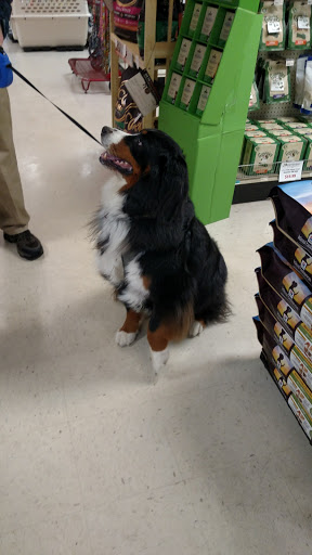 Pet Supply Store «The Hungry Puppy», reviews and photos, 1288 NJ-33, Farmingdale, NJ 07727, USA