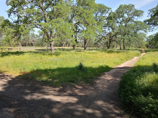 Park «Olympus Pointe Sculpture Park», reviews and photos, 350 N Sunrise Ave, Roseville, CA 95661, USA