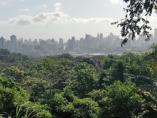 Mirador Cerro Cedro