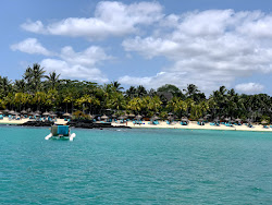 Royal Palm Resort'in fotoğrafı otel alanı
