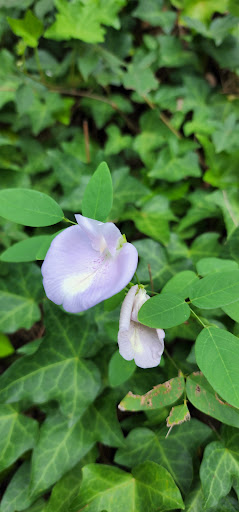 Park «Little Nancy Creek Park», reviews and photos, 4012 Peachtree Dunwoody Rd, Atlanta, GA 30342, USA