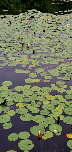 RV Park «Hidden Valley RV & Golf Park», reviews and photos, 81 Damren Rd, Derry, NH 03038, USA