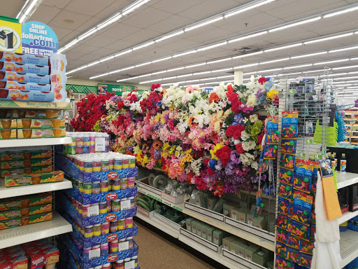 Dollar Store «Dollar Tree», reviews and photos, 5014 Jericho Turnpike, Commack, NY 11725, USA