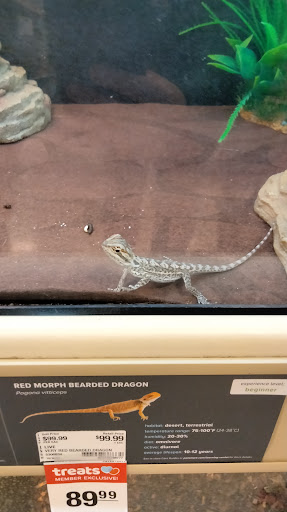 Pet Supply Store «PetSmart», reviews and photos, 2000 Clements Bridge Rd, Woodbury, NJ 08096, USA