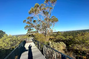 Reabold Hill Summit Lookout image