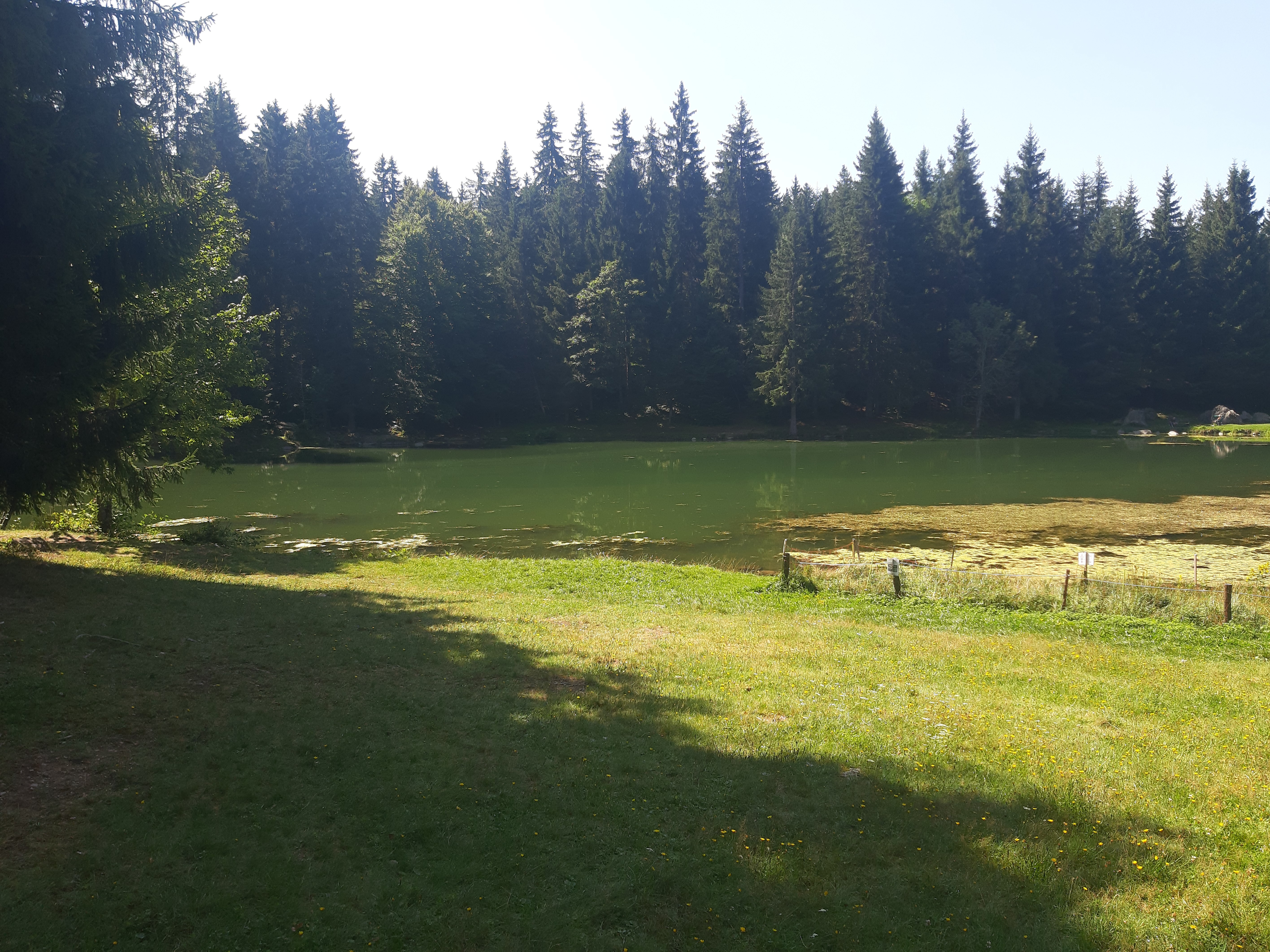 Photo n° 2 de l'avis de Véronique.r fait le 27/08/2021 à 19:49