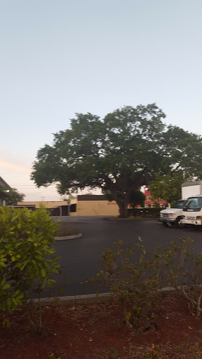 Donut Shop «Turner Donut Shop», reviews and photos, 902 9th Ave W, Bradenton, FL 34205, USA