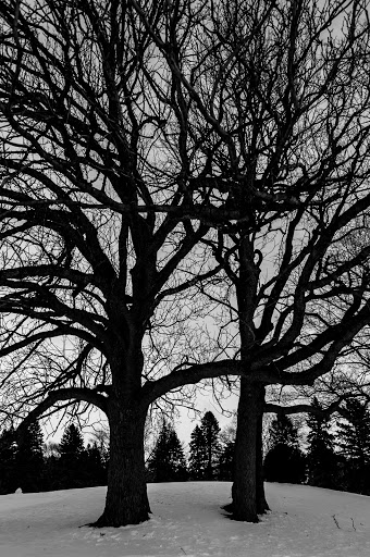 Public Golf Course «J.C. Martin Golf Course», reviews and photos, 652 Shunpike Rd, Erie, PA 16508, USA