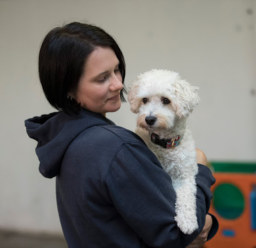 emBARKERS Hound Lounge Dog Daycare - Dog trainer