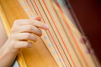Colorado Harpist Erin Newton