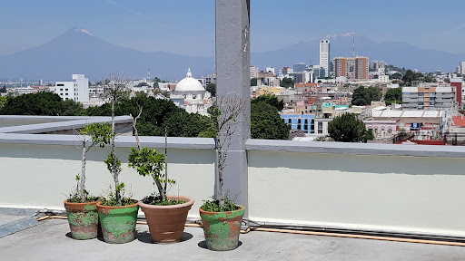 Rehabilitadores edificios Puebla