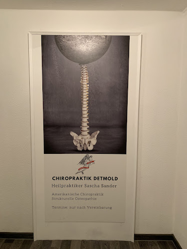 chiropraktik-osteopathie-owl.de