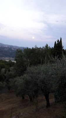 Appartement OLIVE à Gattières
