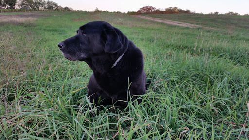 Vineyard «Westport Rivers Vineyard», reviews and photos, 417 Hixbridge Rd, Westport, MA 02790, USA