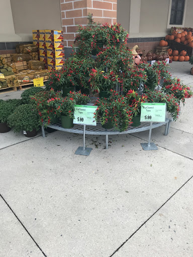 Shopping Mall «Constant Friendship Shopping Center», reviews and photos, 3438 Emmorton Rd, Abingdon, MD 21009, USA