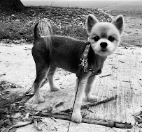 Spot On - Photo 4 - Car repair in , Houston