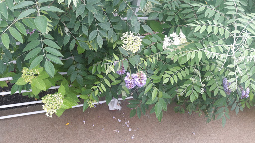 Museum «Barber Vintage Motorsports Museum», reviews and photos, 6030 Barber Motorsports Pkwy, Leeds, AL 35094, USA