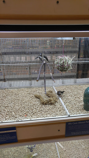 Pet Supply Store «PetSmart», reviews and photos, 11331 Causeway Blvd, Brandon, FL 33511, USA