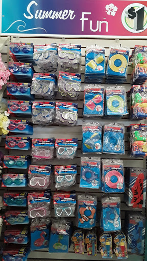 Dollar Store «Dollar Tree», reviews and photos, 2241 Citrus Blvd #107, Leesburg, FL 34748, USA