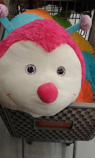 Discount Store «Big Lots», reviews and photos, 1795 W McGalliard Rd Unit 2, Muncie, IN 47304, USA