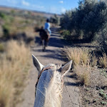 Photo n°1 de l'avis de rachel.r fait le 27/11/2023 à 09:56 sur le  Il Giardino del Sole à Carlentini