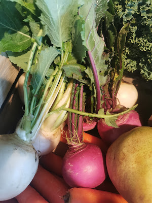 Aux champs des gourmands à Sernhac