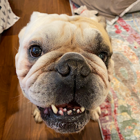 Roam Away From Home PA - Photo 7 - Car repair in Trappe, PA, Reading