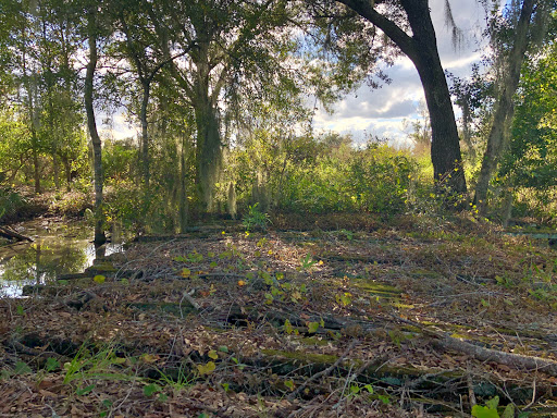 Nature Preserve «Duette Preserve», reviews and photos, 2649 Rawls Rd, Parrish, FL 34219, USA